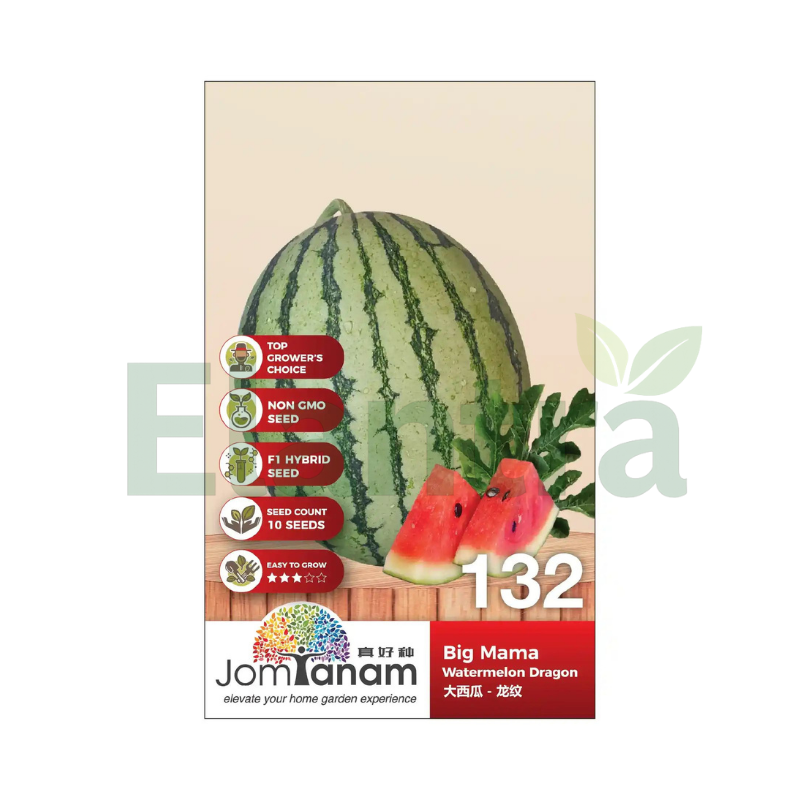 132 WATERMELON DRAGON
